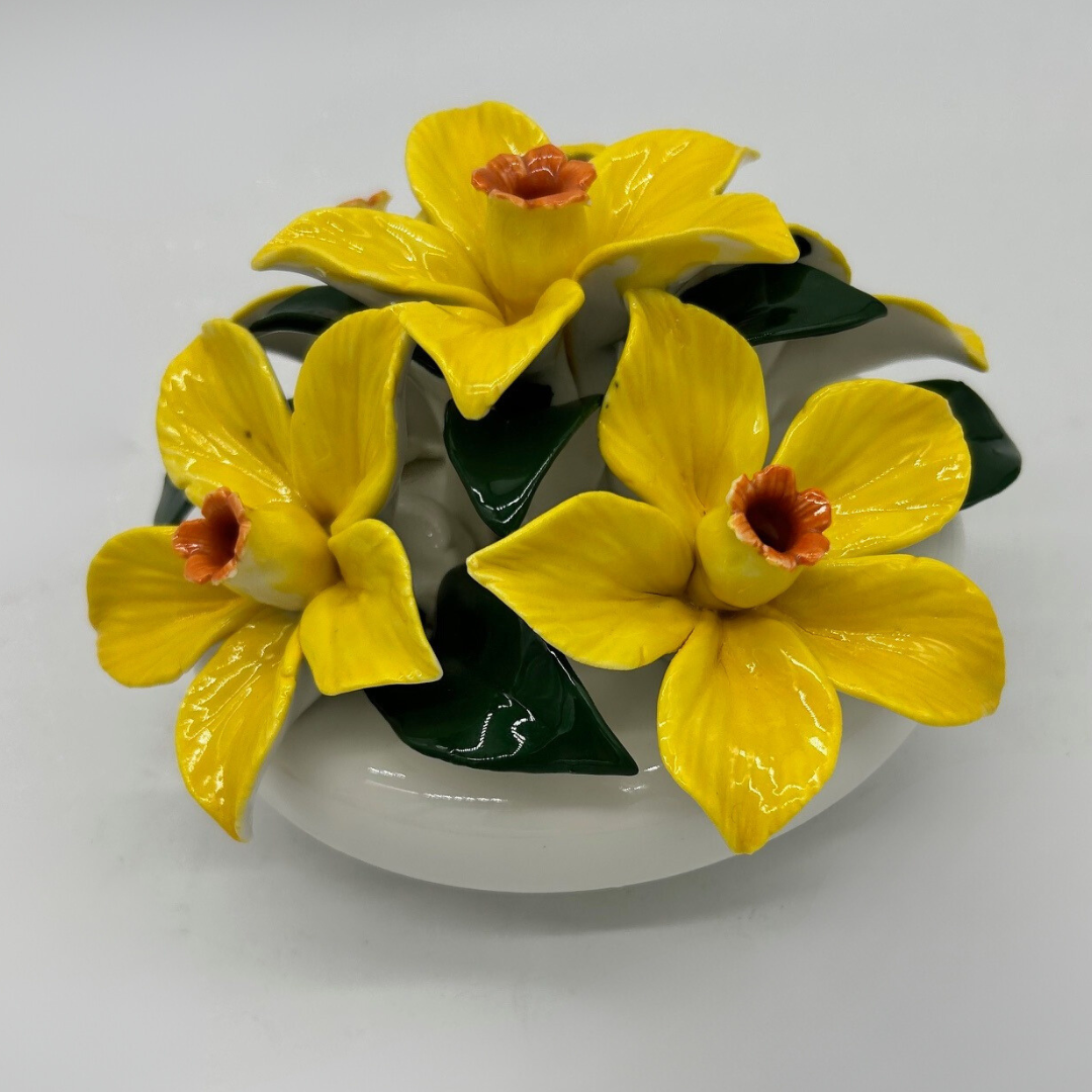 Dafodil 1