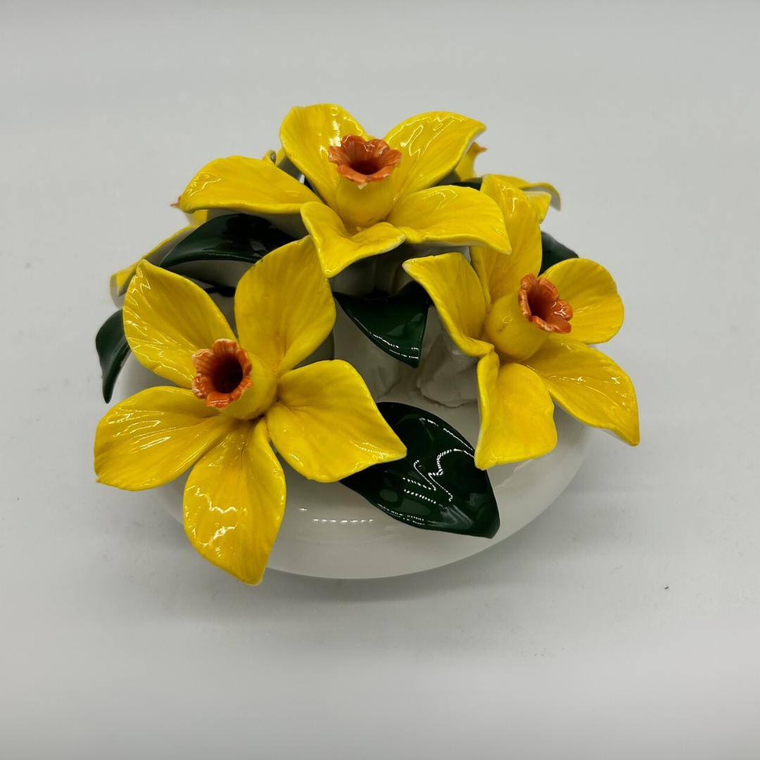 Dafodil 3