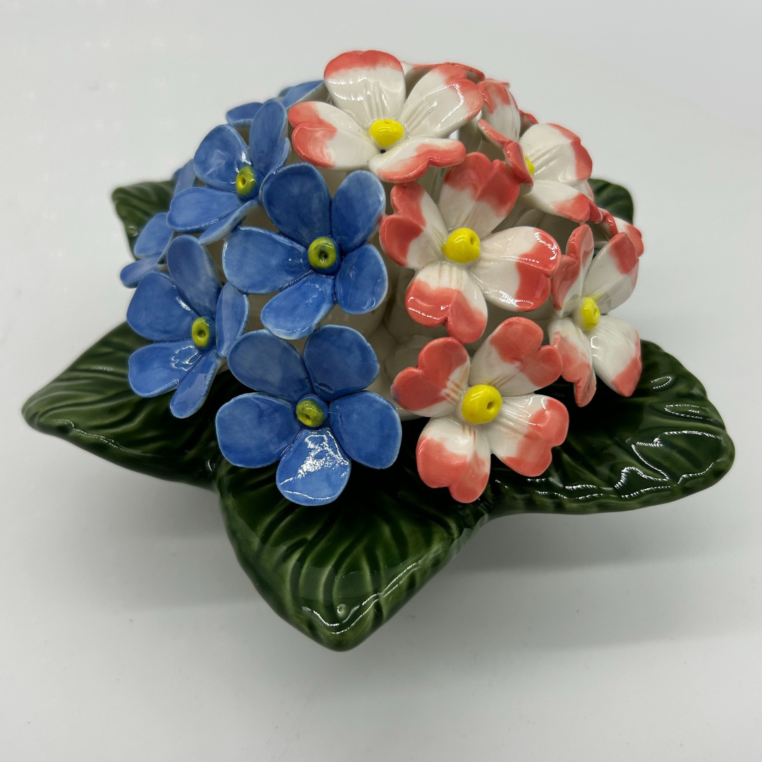 forget me not primrose