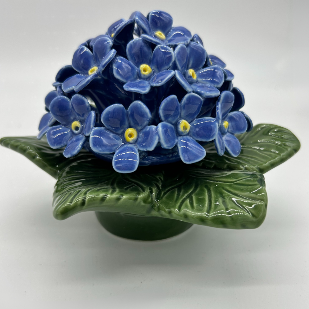 forget me not