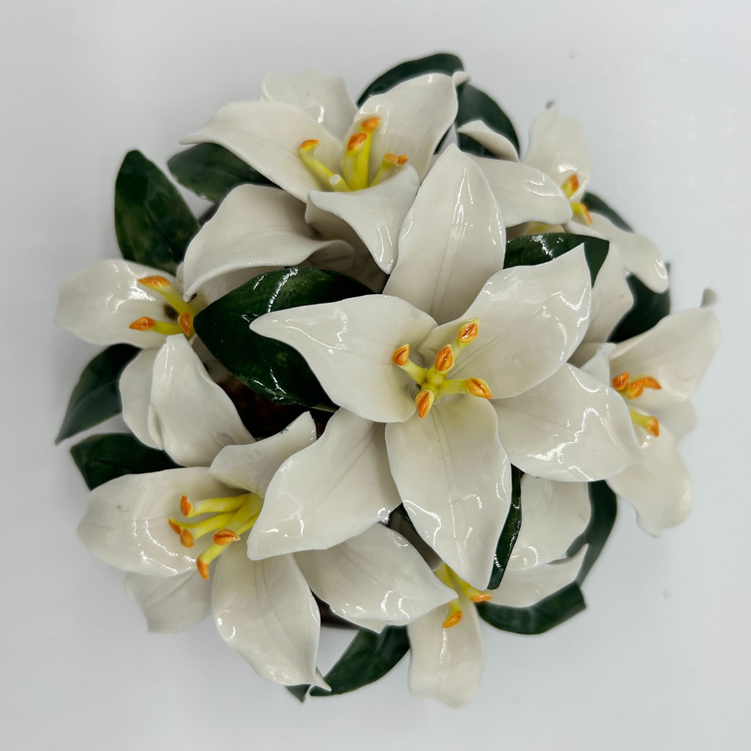 lily base
