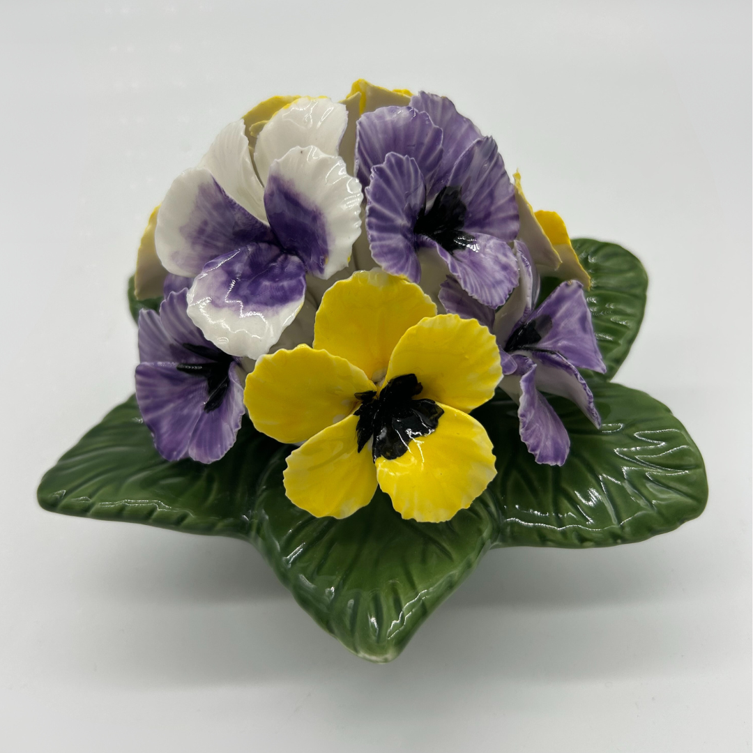 pansie cluster (2)