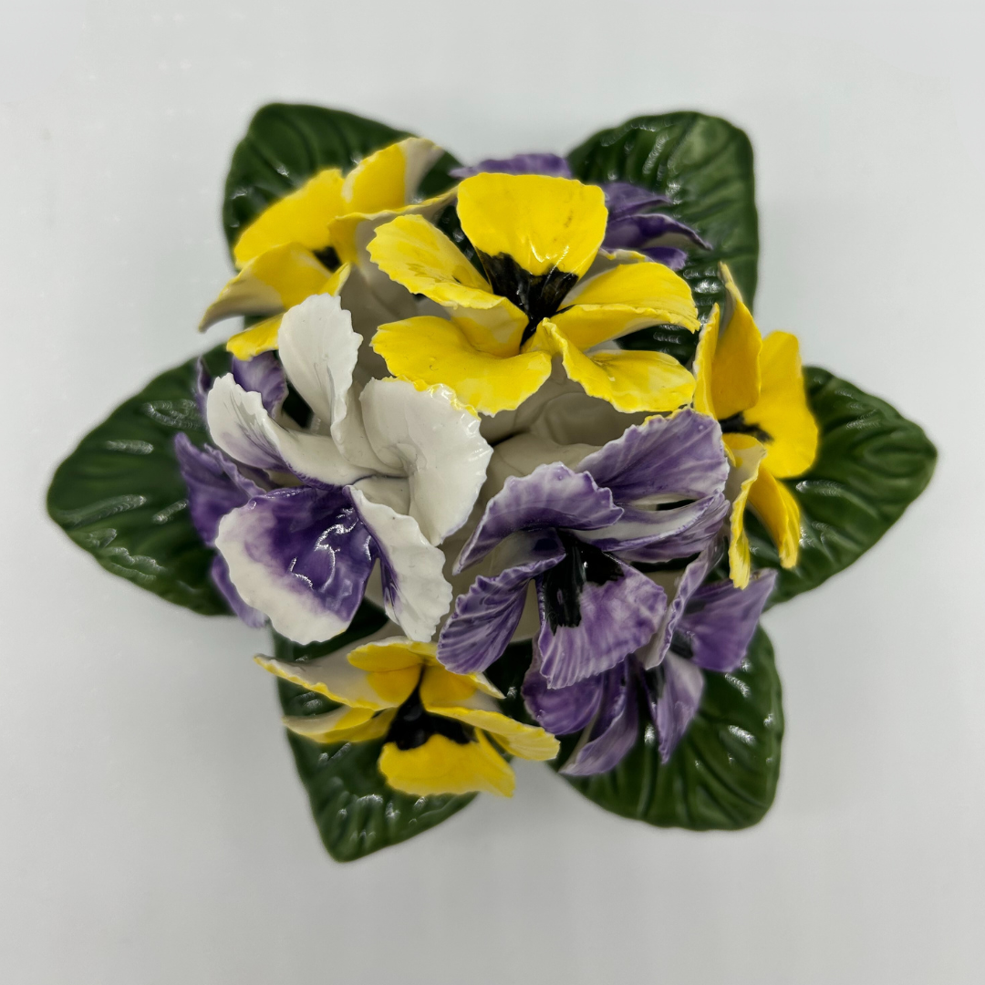 pansie cluster