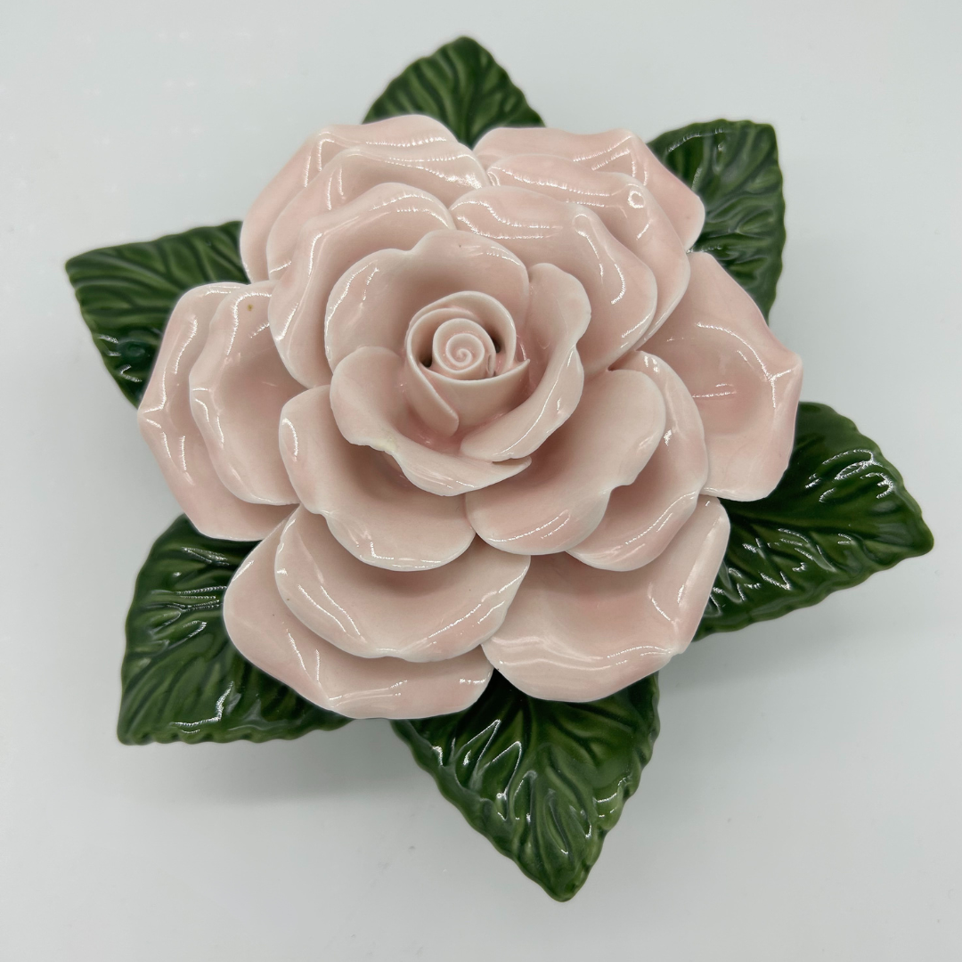 pink rose