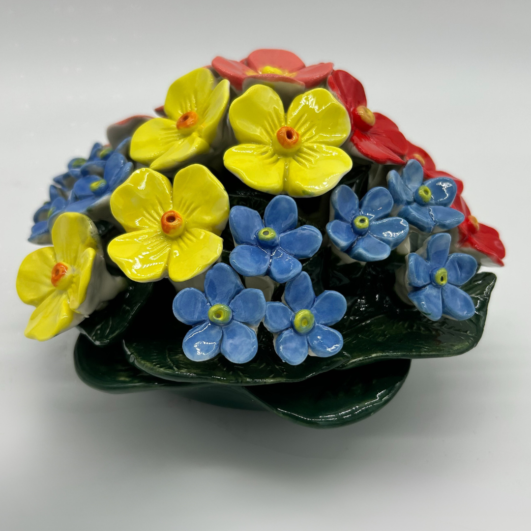polyanthus forget me not mix