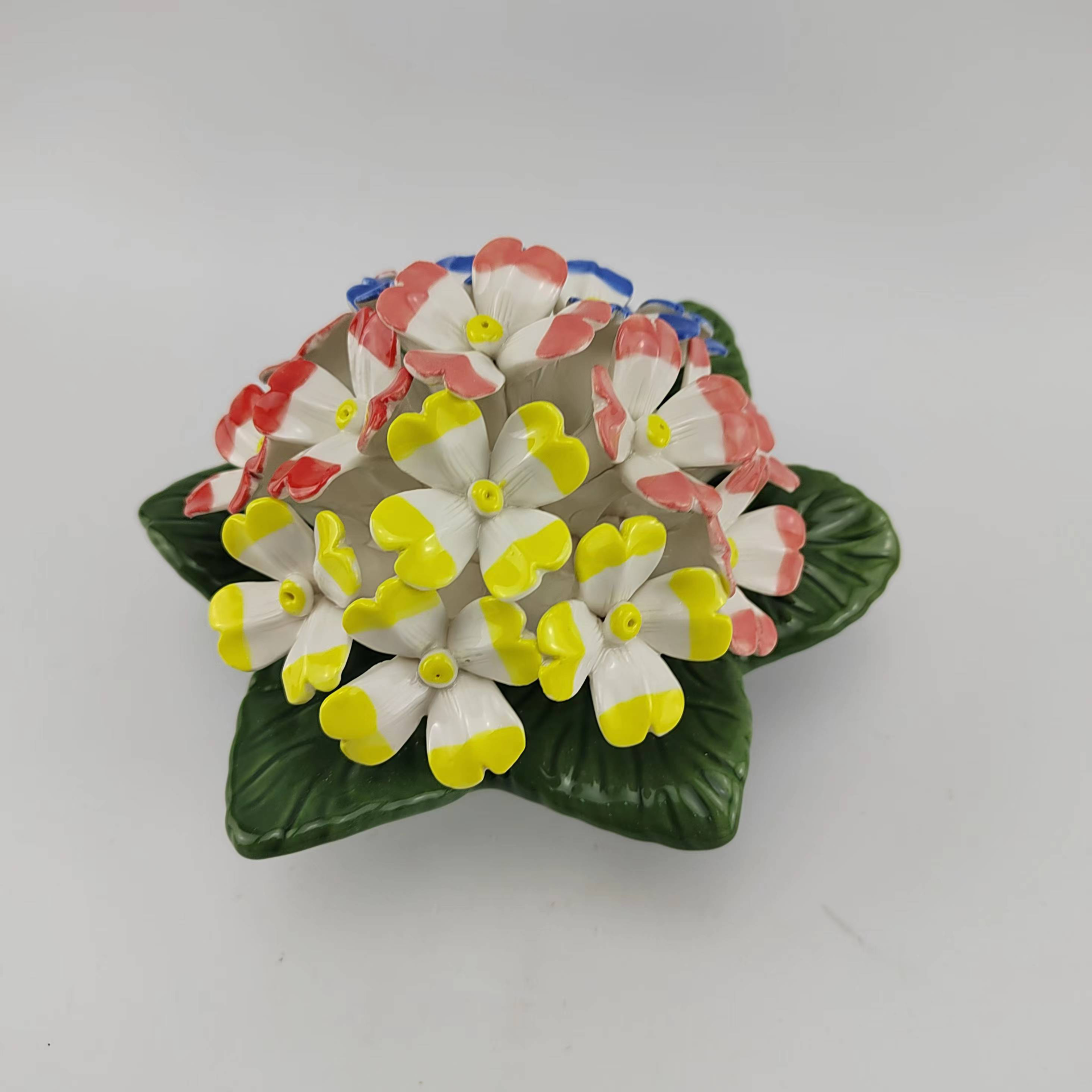 primrose 1