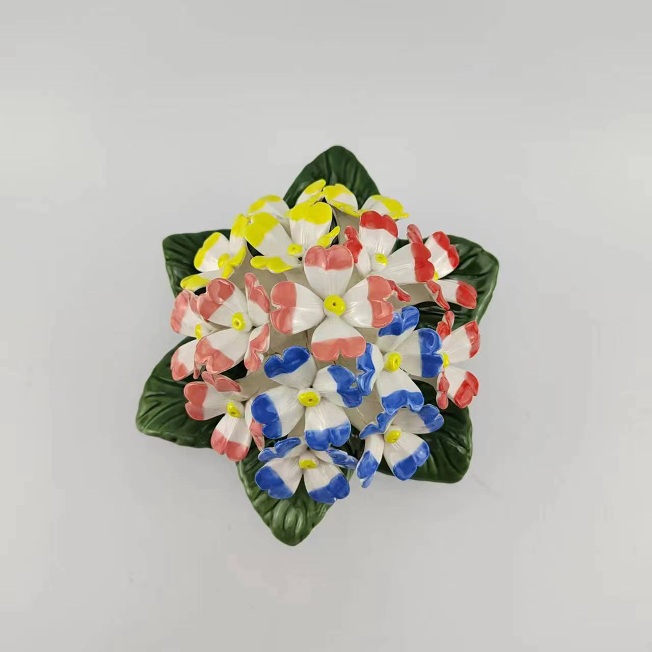 primrose 4
