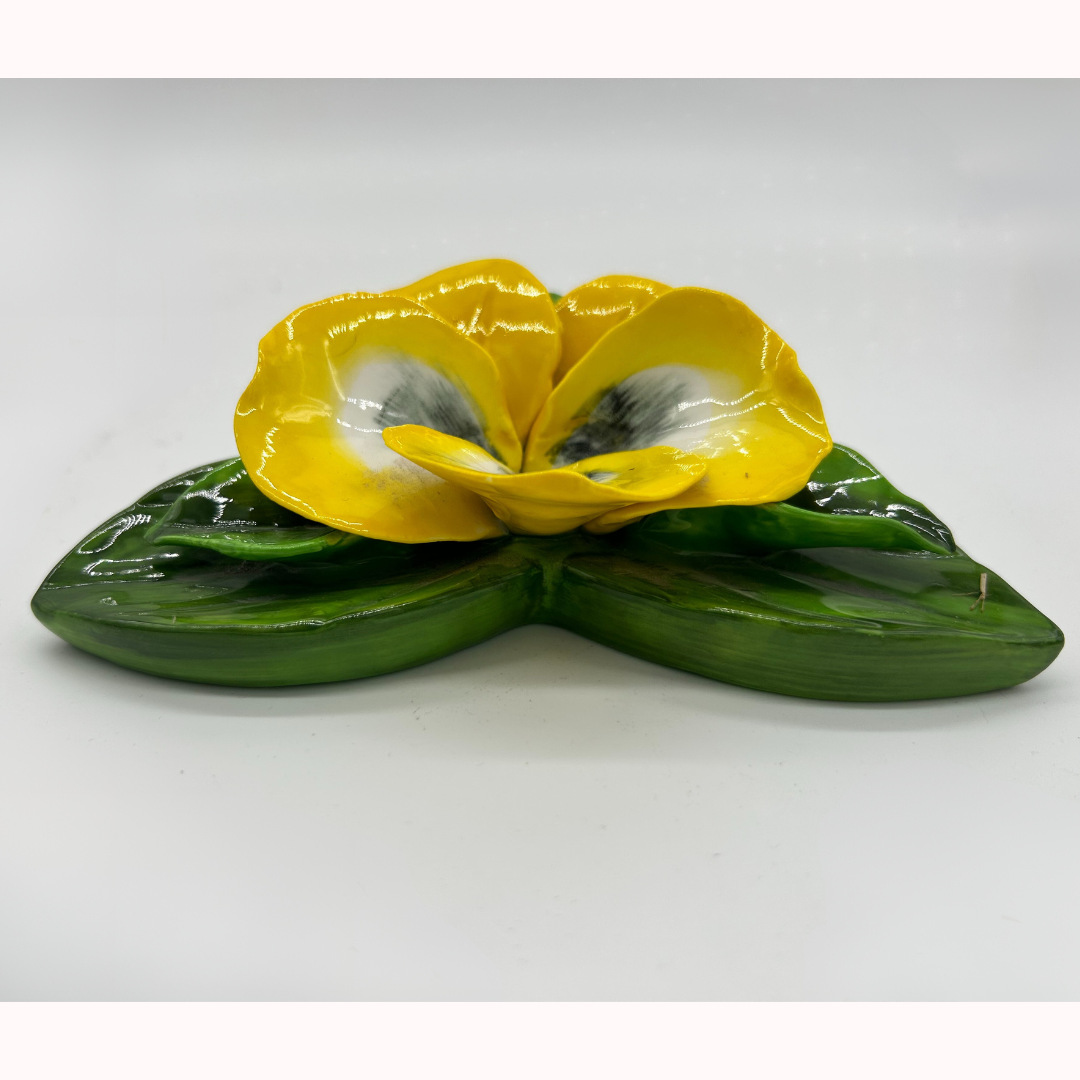 single pansie