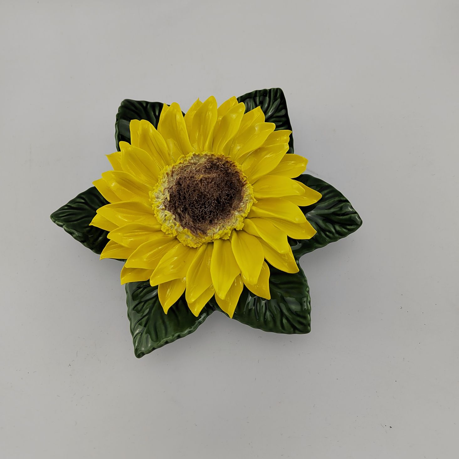single sunflower