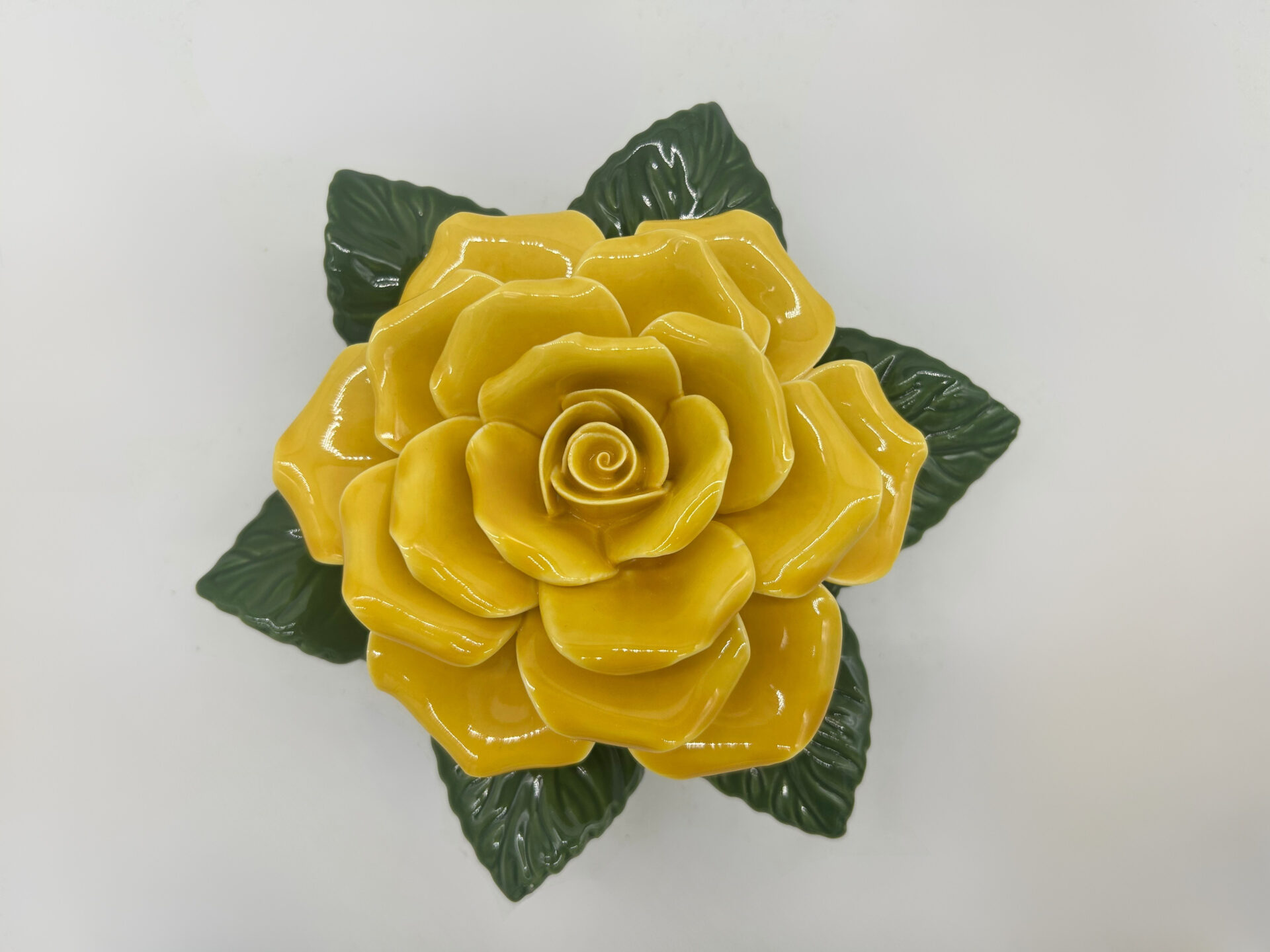 yellow rose 1