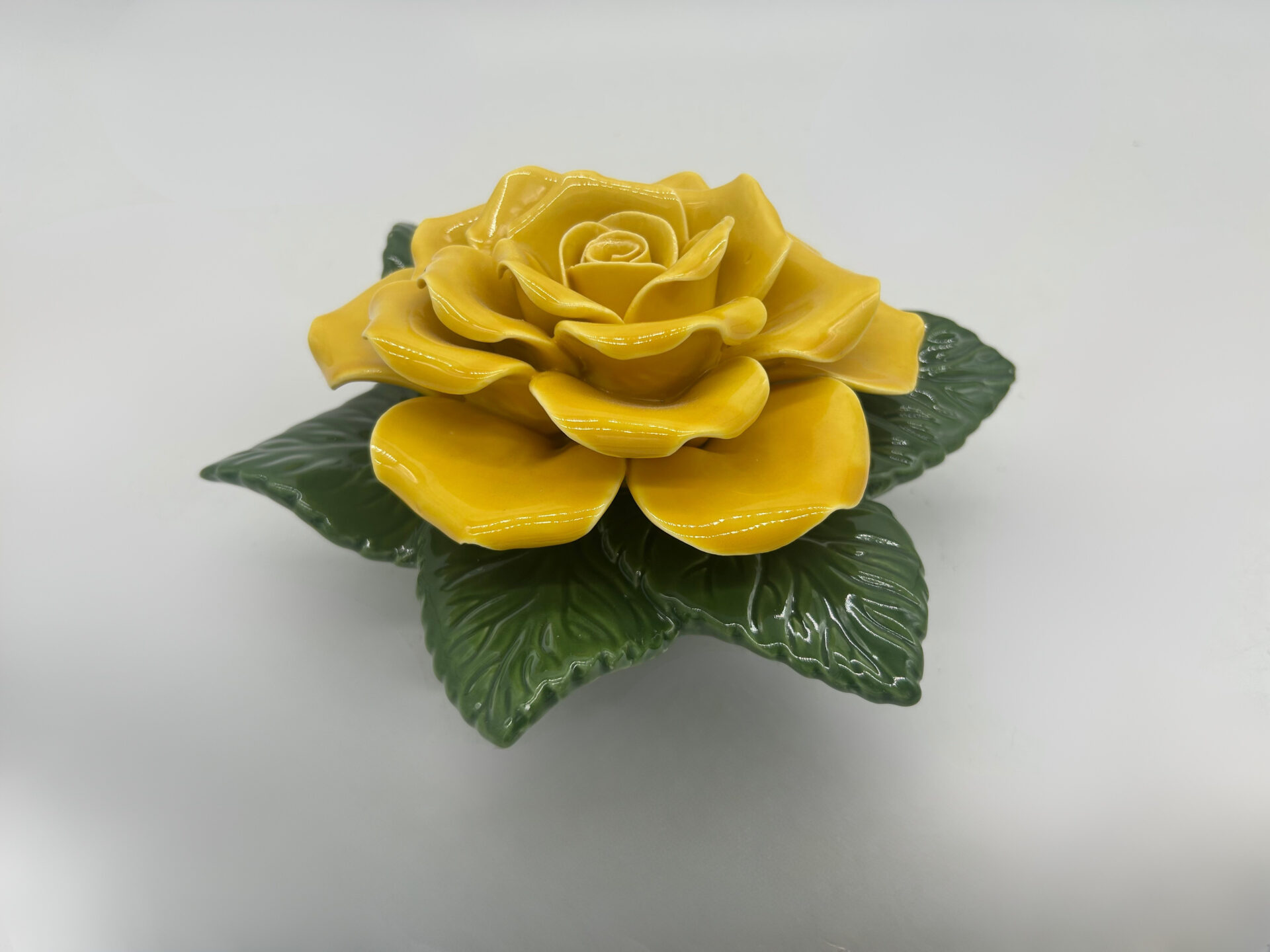 yellow rose 2