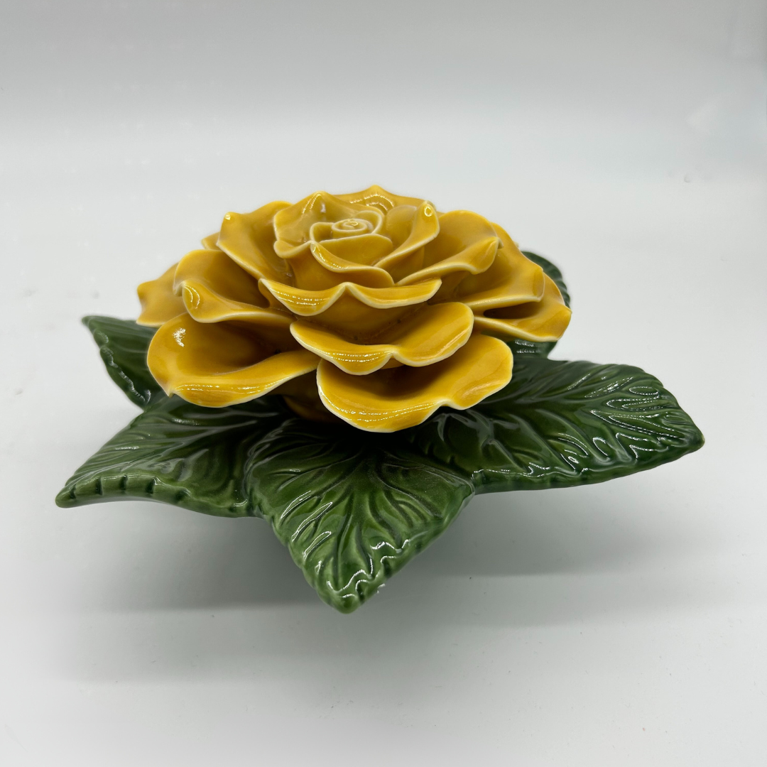 yellow rose